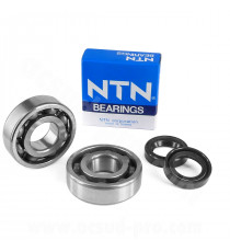 KIT ROULEMENTS NTN  (6204 JR2 C4) + JOINTS SPI ADAPT. PEUGEOT LUDIX / JET FORCE / SPEEDFIGHT 3 / KISBEE 2T