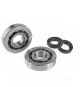 KIT ROULEMENTS NTN (SCO4A47CS29) + JOINTS SPI ADAPT. PIAGGIO ZIP / TYPHOON / NRG / GILERA STALKER / RUNNER