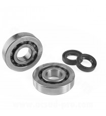 KIT ROULEMENTS NTN (SCO4A47CS29) + JOINTS SPI ADAPT. PIAGGIO ZIP / TYPHOON / NRG / GILERA STALKER / RUNNER