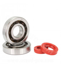 KIT ROULEMENTS TPI (SCO4A47CS29) + JOINTS SPI ADAPT. PIAGGIO ZIP / TYPHOON / NRG / GILERA STALKER / RUNNER