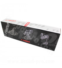 MINI GROUPE L-TWOO MANETTES & DERAILLEURS A5 2X9V.