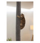 Sac a grimper pour chats - KERBL - CARPET - 16 x 16 x 240 cm - Fixation plafond - Polyester