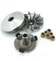 VARIATEUR MAXISCOOTER ADAPT SYM GTS HD SYMPHONY 125cc  PEUGEOT TWEET DJANGO 125cc  LONGJIA EASYMAX TNT MOTOR OTTO 125CC