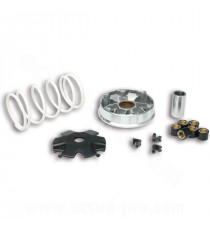 VARIATEUR SCOOT MALOSSI MULTIVAR ADAPT SCOOT CHINOIS 139QMB GY6 PEUGEOT 50 KISBEE V-CLIC 4T SYM 50 ORBIT 4T KYMCO 50 AGILITY 4T