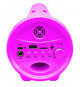 Enceinte Bluetooth Sans-Fil Lumineuse avec Micro Barbie