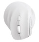 Souris Ergonomique Sans Fil - BLUESTORK - ERGO - Lumineuse - PC/MAC - Noir