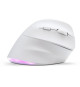 Souris Ergonomique Sans Fil - BLUESTORK - ERGO - Lumineuse - PC/MAC - Noir