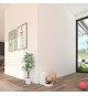 Mangeoire intelligent avec caméra - CALEX - SMART PETFEEDER - Blanc