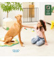 Badabulle Barriere de sécurité Enfant Safe&Protect XL - Extensible (60 a 106.5 cm) - Ouvertures Extra Large - Fixation Vis, Noir