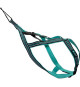 Harnais de traction pour chien - OLYMPIA - S - Type X-back - Bleu
