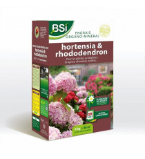 BSI - Engrais Hortensias/Rhododendrons - Pour Tous les Hortensias / Rhododendrons - Action Longue Durée - 4kg - Jusqu'a 40 m²…