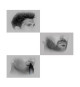 Remington PG3000 Tondeuse Multifonctions Graphite Series G3, Cheveux, Barbe, Visage, Lames Auto-Affutées
