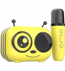 Kit karaoké / Enceinte Bluetooth et micro sans fil - CGV - MAYA, Effets voix magiques, Autonomie 8h, Recharge USB