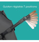 Bebeconfort Cloudy Poussette 3 roues Tout Terrain, 0 a 4 ans (22kg max) Inclinable, Pliage rapide, Guidon réglable, Mineral
