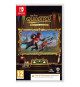 Harry Potter : Champions de Quidditch - Jeu Nintendo Switch (Code dans la boite)