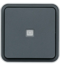 CUBYKO INTERRUPTEUR VA&VIENT T EMOIN+NEUTRE SAILLIE GRIS IP55