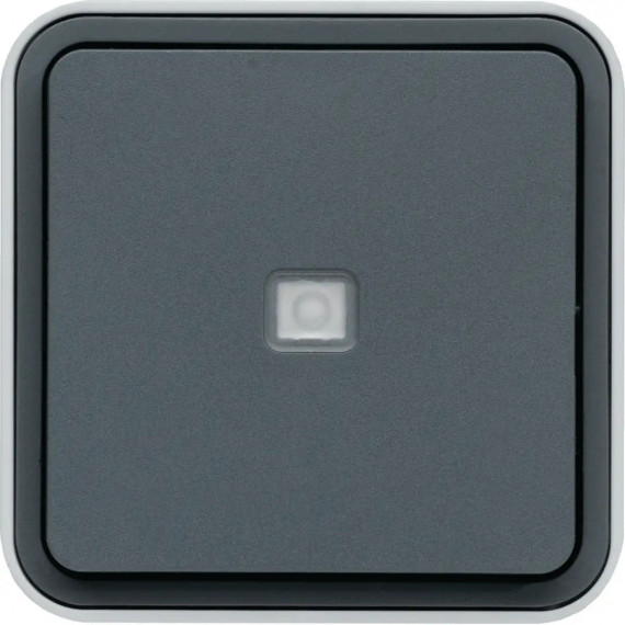 CUBYKO POUSSOIR 1O/1F A VOYANT SAILLIE GRIS IP55
