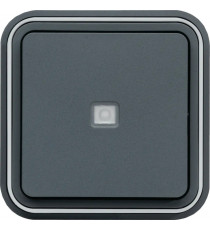 CUBYKO POUSSOIR 1F VOYANT TEMO IN ENCASTRE GRIS IP55