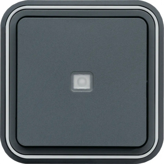 CUBYKO POUSSOIR 1F VOYANT TEMO IN ENCASTRE GRIS IP55