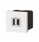 Prise USB Type-A + USB Type-C 3A 15W Mosaic Link 230V - 2 modules blanc