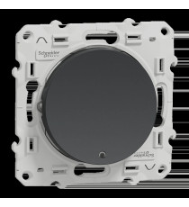Odace - va-et-vient lumineux ou témoin - anthracite - 10A - LED orange 1