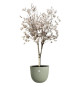 Pot de fleurs - ELHO - Sereh Rond 47 - Vert - Ø 47 x H 40 cm - 100% recyclé