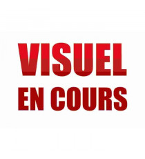 Washimals - Mes animaux a colorier - CRAYOLA - 4 animaux Pat'Patrouille - Des 3 ans