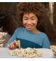 Jeu de fouille - ZURU - ROBO ALIVE Dino Fossil Find - 4 dinos a assembler - Roche et slime - Fossiles a collectionner