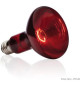 EXO TERRA Lampe infrarouge Baskin Spot - 100 W - Pour terrarium