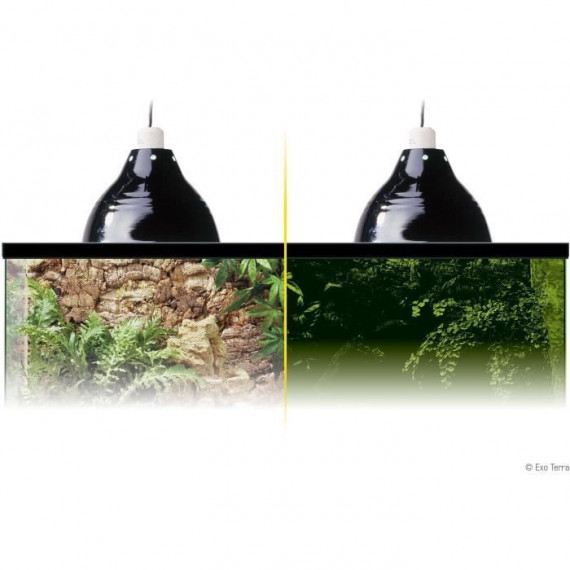 Support De Lampe Glow Light Petit - Exo Terra