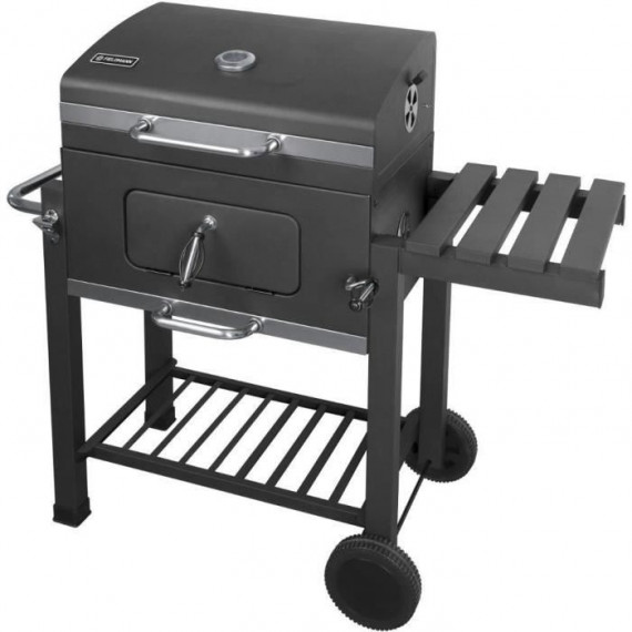 Barbecue au charbon de bois - Fieldmann - FZG 1008