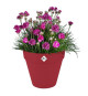 Pot de fleur - Elho - Loft Urban Rond - Roues 40 - Rouge - L 39 x B 38.5 x H 35 cm - Extérieur - 100% recyclé