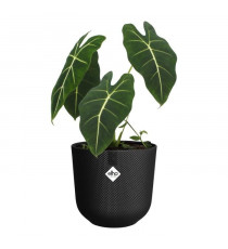 Pot de fleur - Elho - Jazz Rond - Noir - Ø 26 x H 24 cm - Intérieur - 100% recyclé