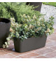 Jardiniere - DEROMA - Origin - 12 L - Anthracite