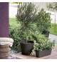 Jardiniere- DEROMA - Origin - 18 L - Gris