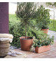Pot de fleurs - DEROMA - Origin - 9,6 L - Terre cuite