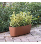Jardiniere - DEROMA - Origin - 11,6 L - Terre cuite