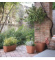 Jardiniere - DEROMA - Origin - 11,6 L - Terre cuite