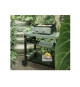 Livoo Plancha gaz 5000w plaque acier émaillé 45.5x35.5cm - DOC323