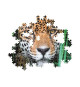 CLEMENTONI - Compact 500 pieces - Jaguar in the jungle