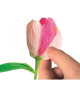CLEMENTONI - Crée tes fleurs - Tulipe