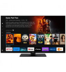 PANASONIC - TV LED UHD 4K - TB50W60AEZ