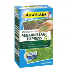 ALGOFLASH Semences gazon regarnissage express - 1 Kg